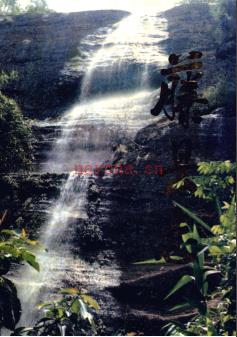 广西藤县志.pdf下载 | 华南地区 | 县志下载 | 中国地方史志网