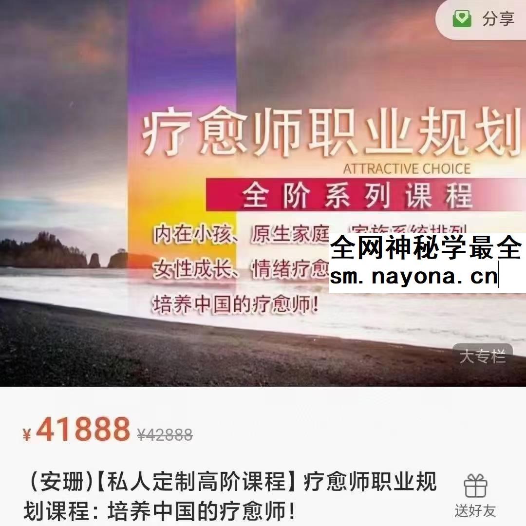 安珊【私人定制高阶课程】疗愈师职业规划课程：培养中国的疗愈师！