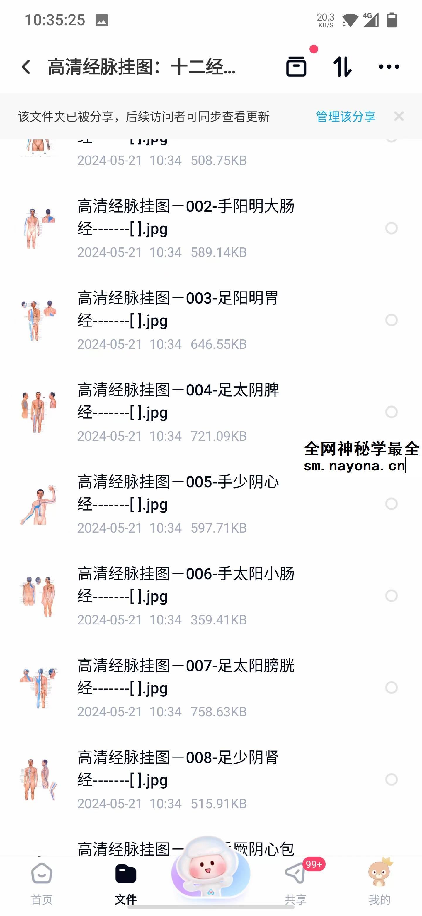 2015年王永斌双定点推拿正骨法 陕西民间绝技神仙一把抓视频教程
