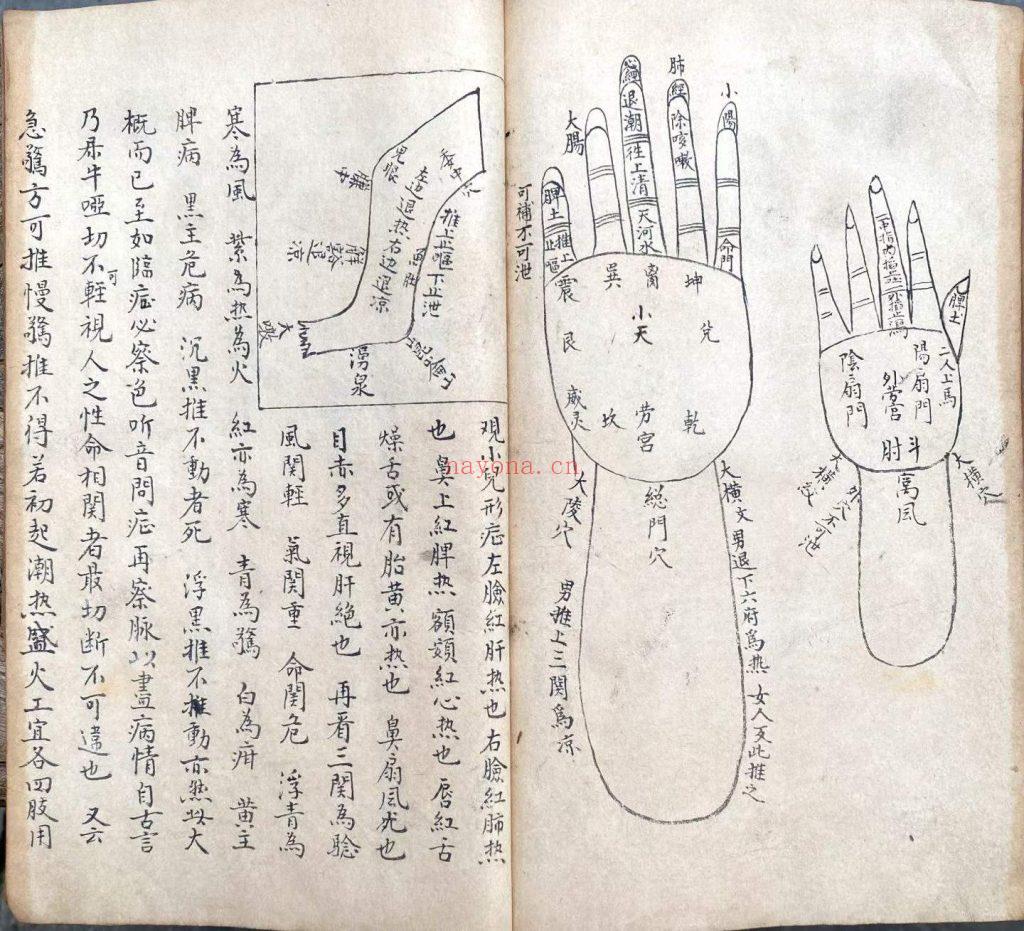 《脉理细领秘要》10