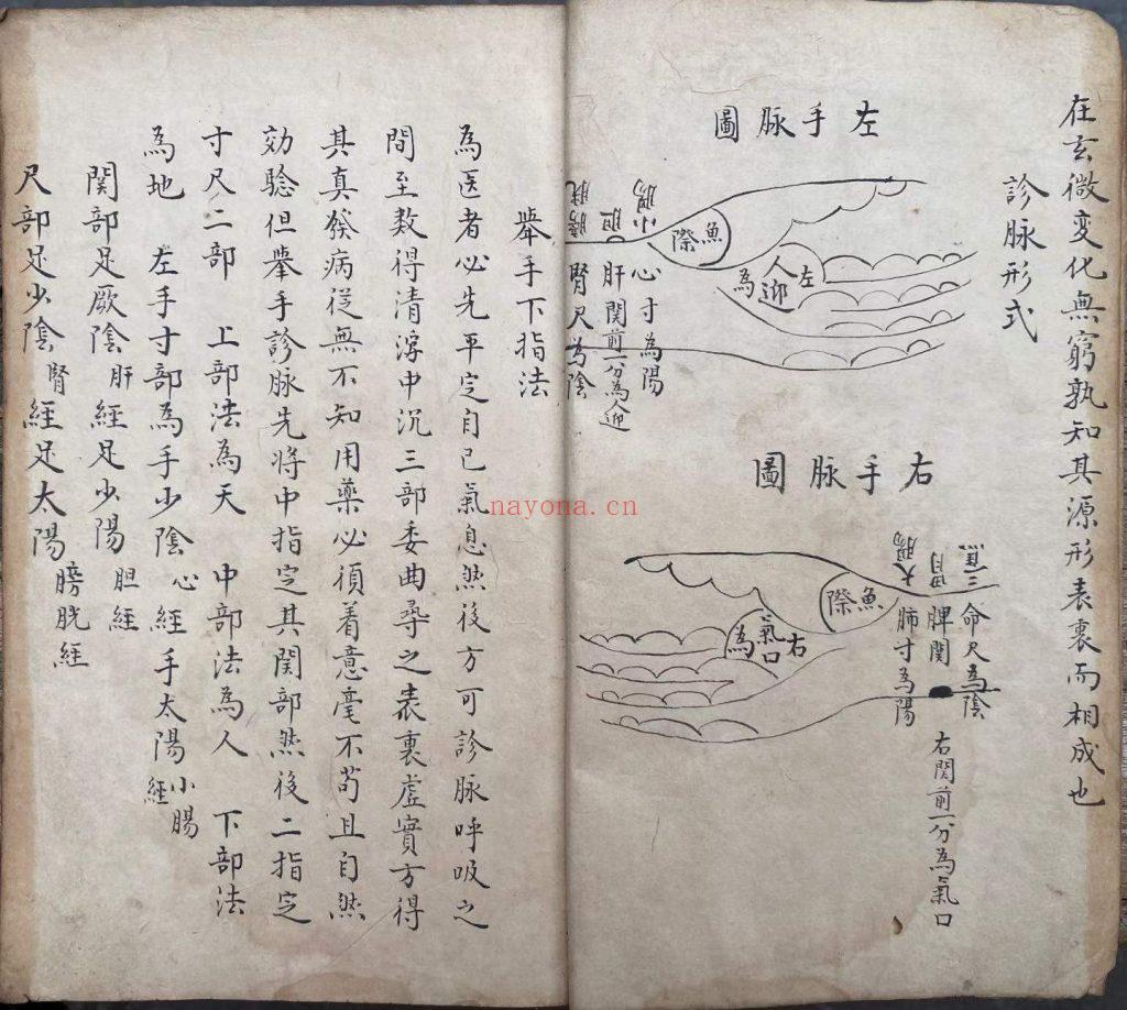 《脉理细领秘要》10