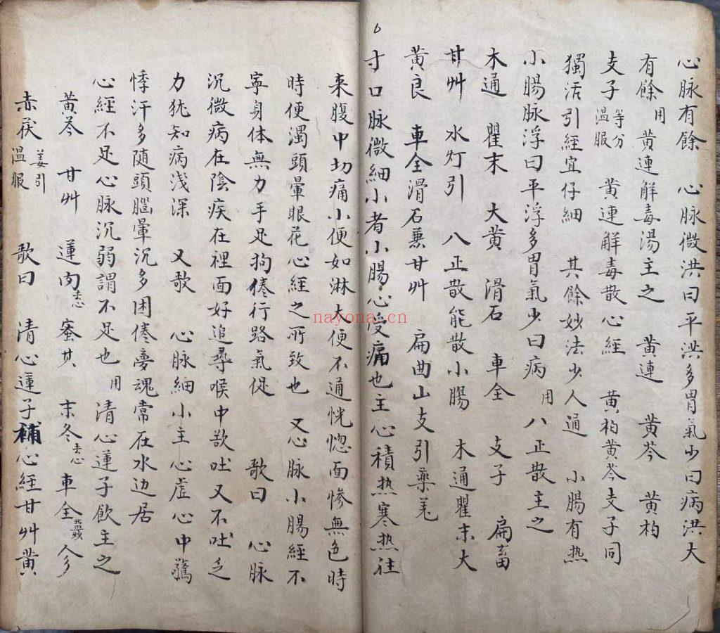 《脉理细领秘要》10