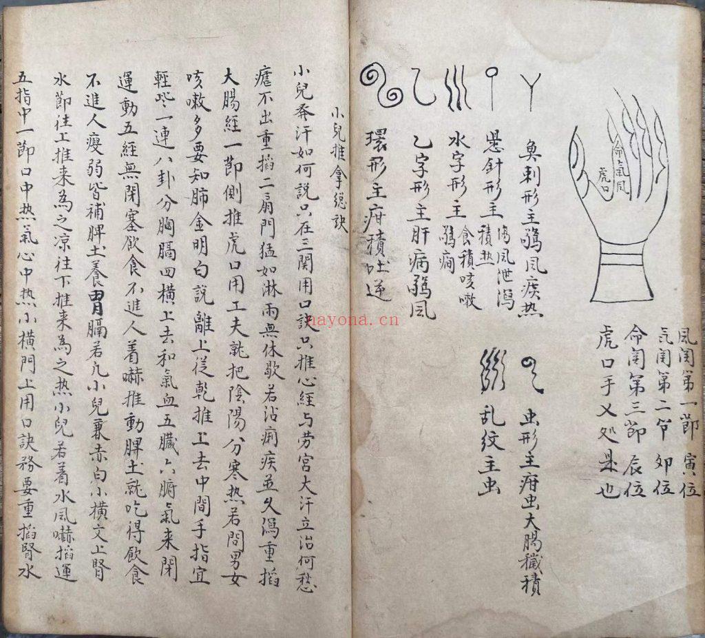 《脉理细领秘要》10