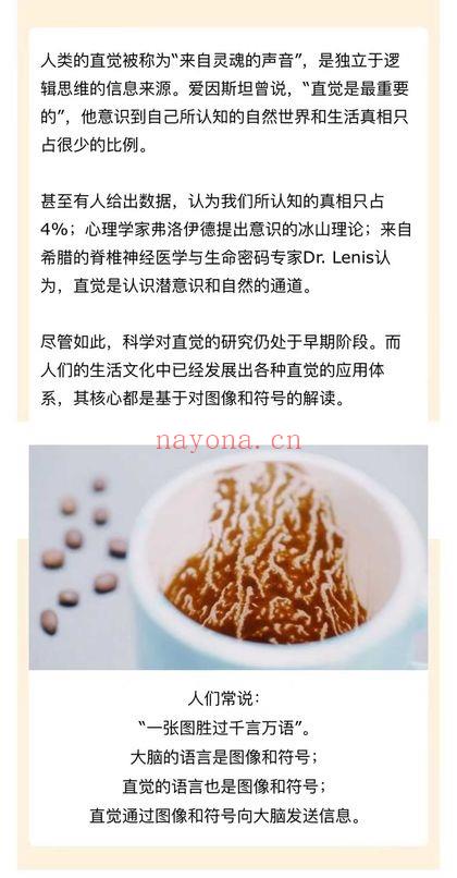 蓝宁仕 咖啡占卜《咖啡阅读入门》9节视频