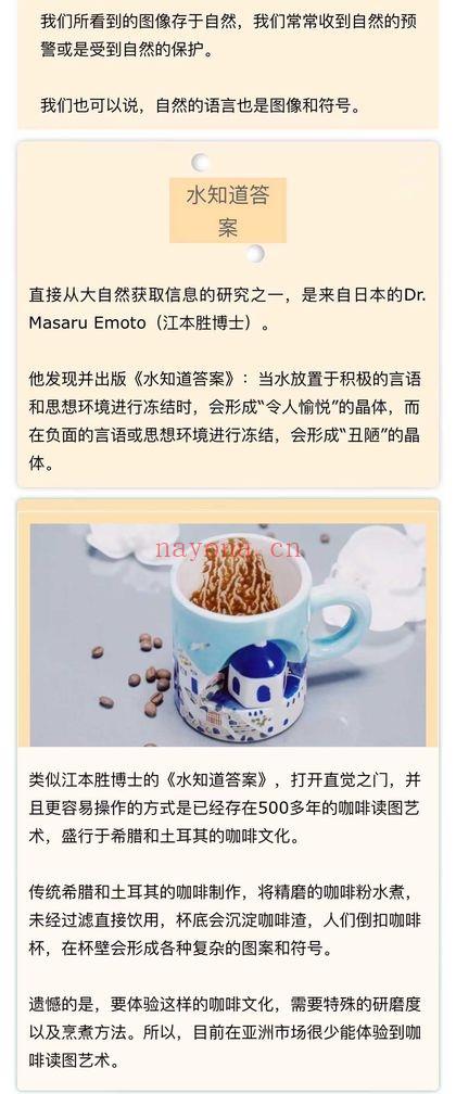 蓝宁仕 咖啡占卜《咖啡阅读入门》9节视频