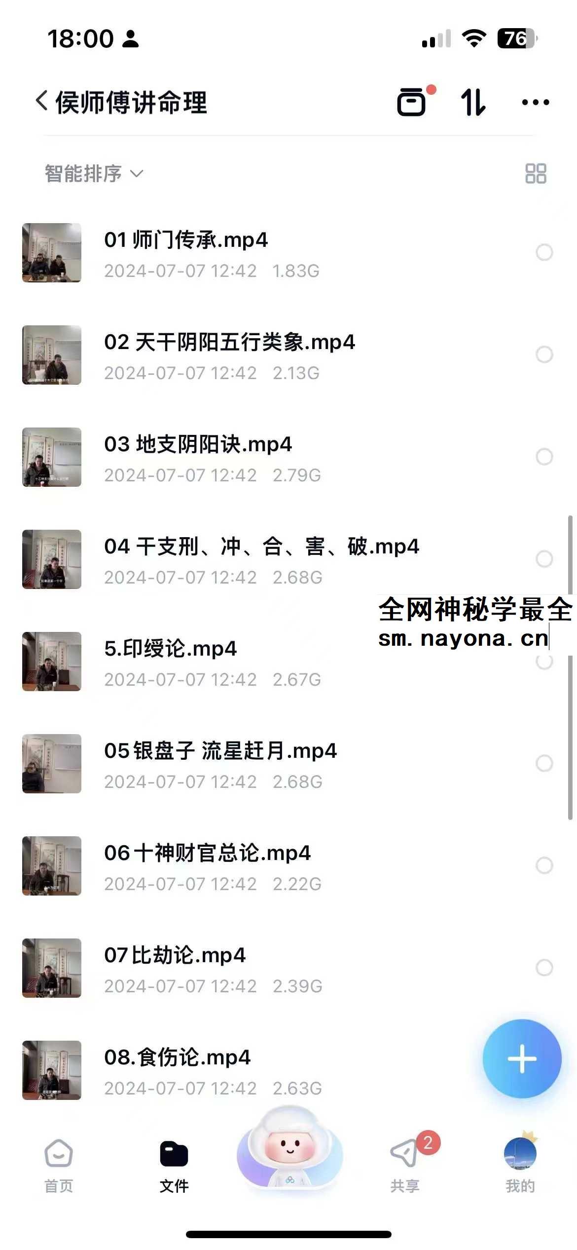 湖北省传统盲派命理《串宫押运》