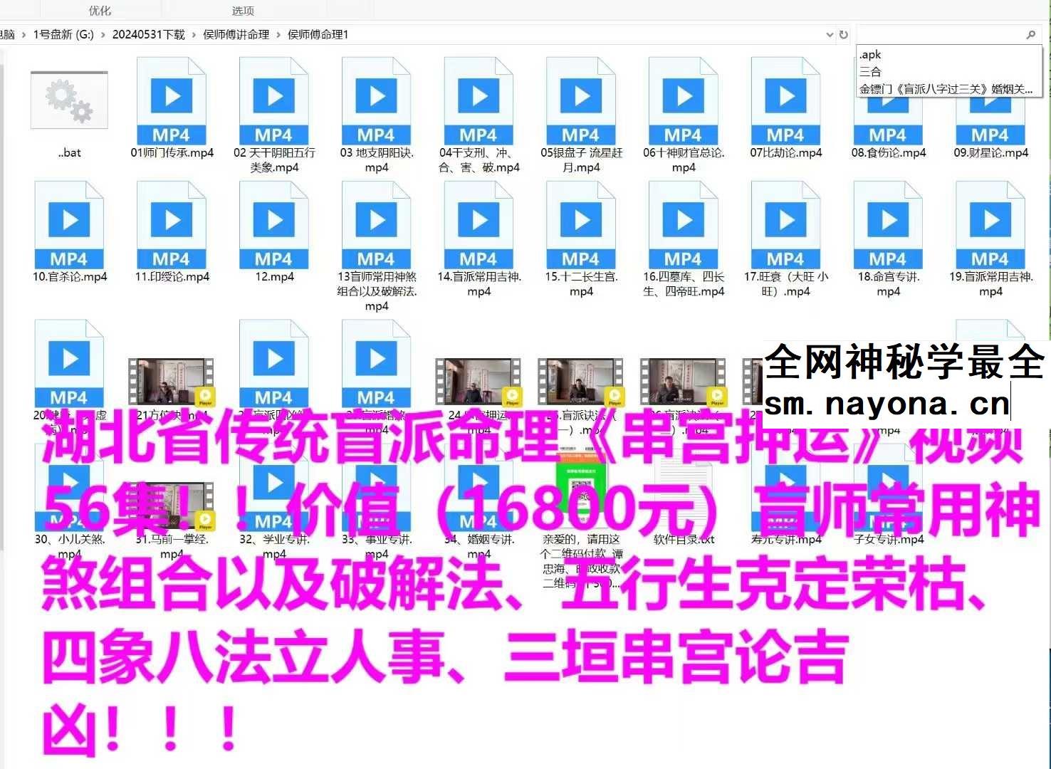 湖北省传统盲派命理《串宫押运》