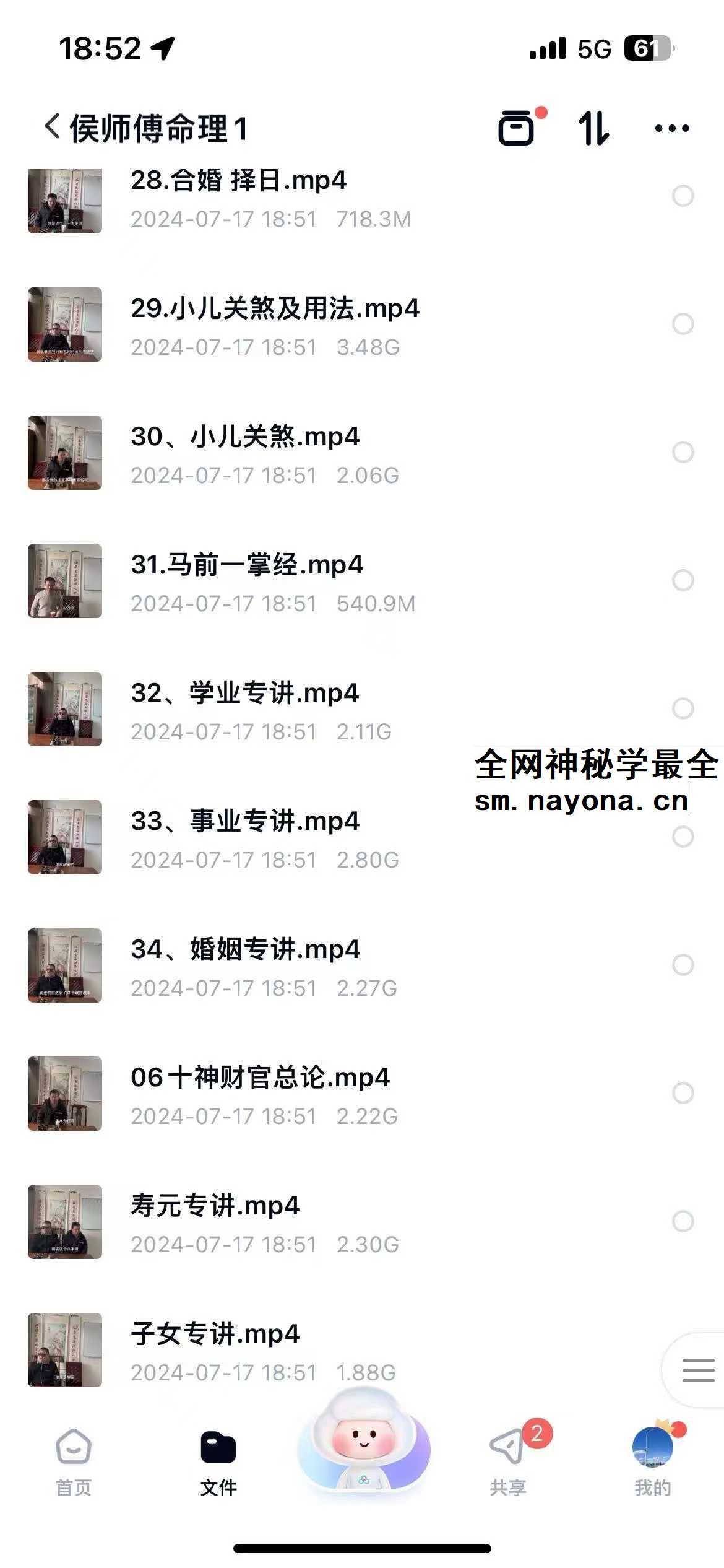 湖北省传统盲派命理《串宫押运》