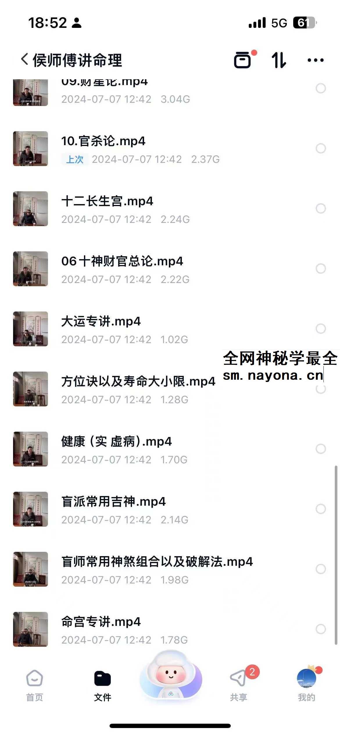 湖北省传统盲派命理《串宫押运》