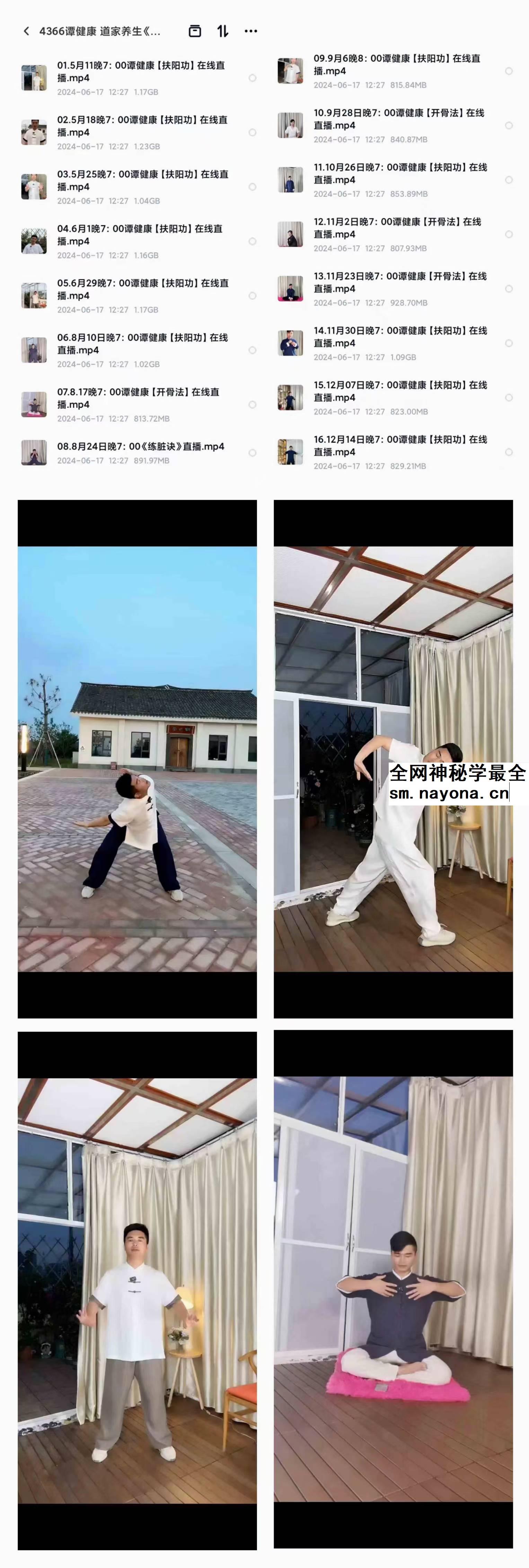 谭健康 道家养生《扶阳功》19集