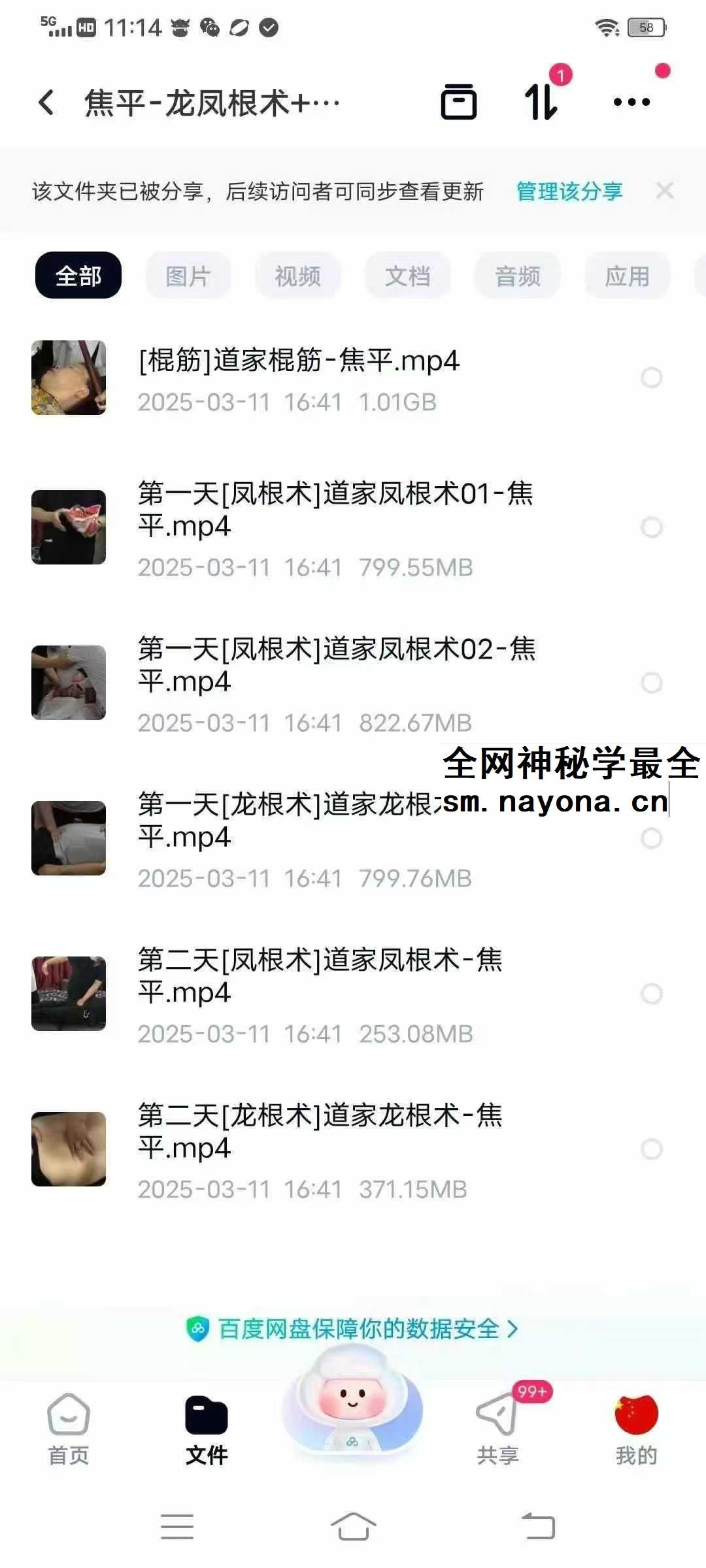 焦平 龙根术凤根术合集