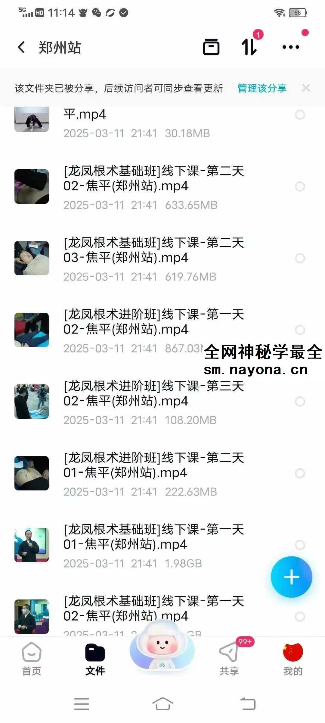 焦平 龙根术凤根术合集