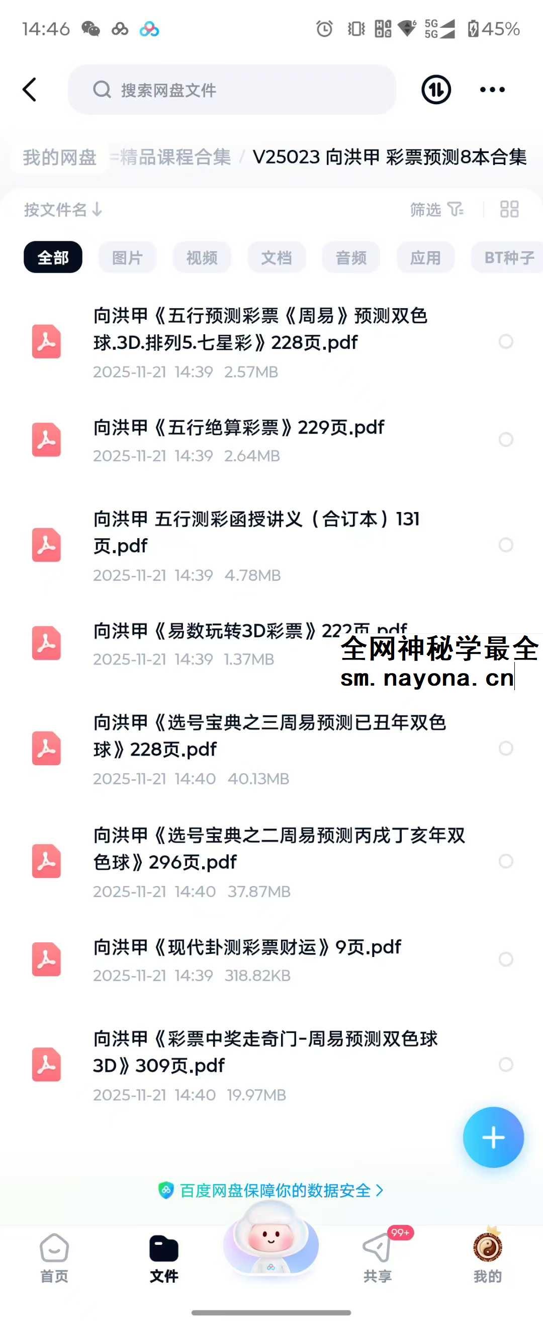 向洪甲 彩票预测8本合集