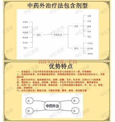 王东磊面授系统课《王氏中药外治疗法》视频课6节