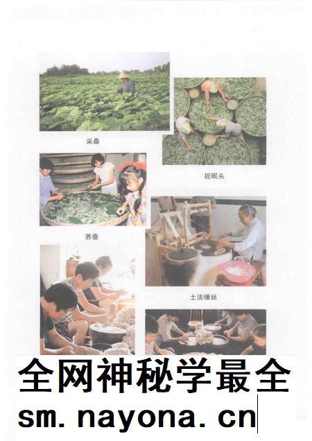 2011-杭州民俗研究.pdf电子版_浙江省志插图4