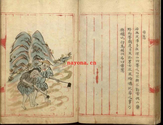 云南标下元江营营制总册.pdf下载