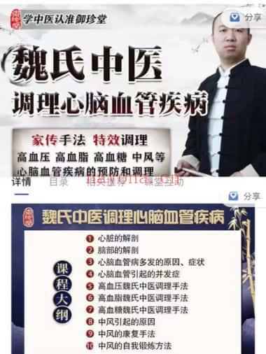 魏晓辉《魏氏中医调理心脑血管疾病》视频课10集