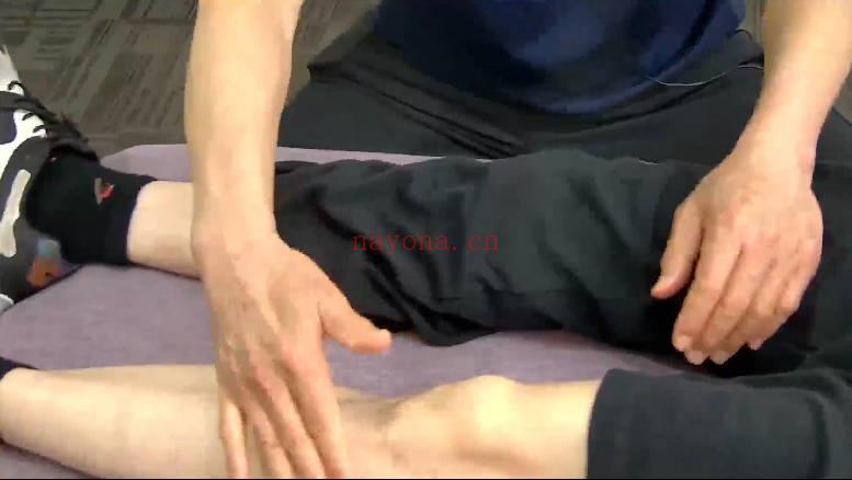 李文臣弟子班《李氏武医十大套路》视频课27集