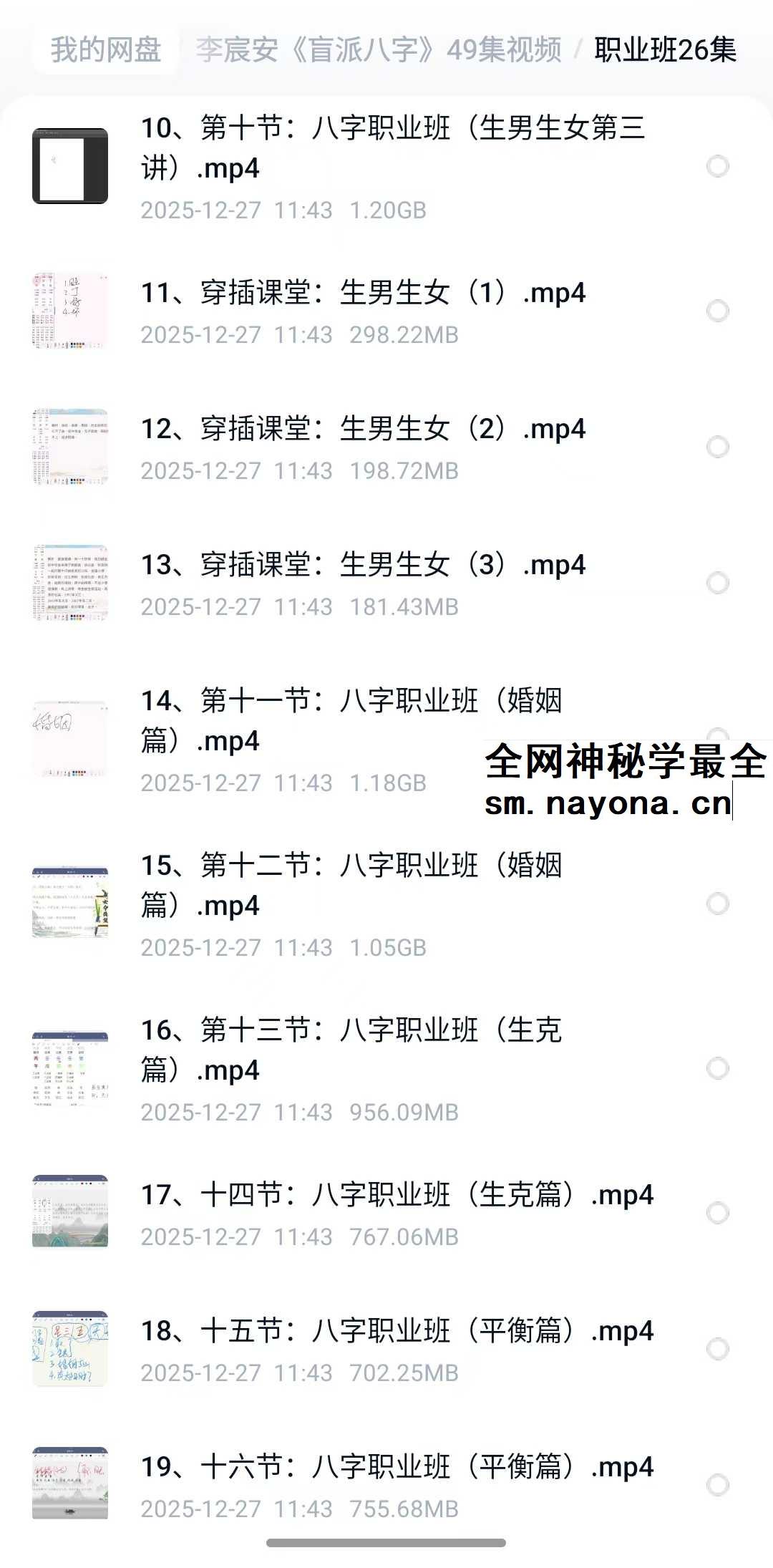 李宸安 盲派八字49集视频