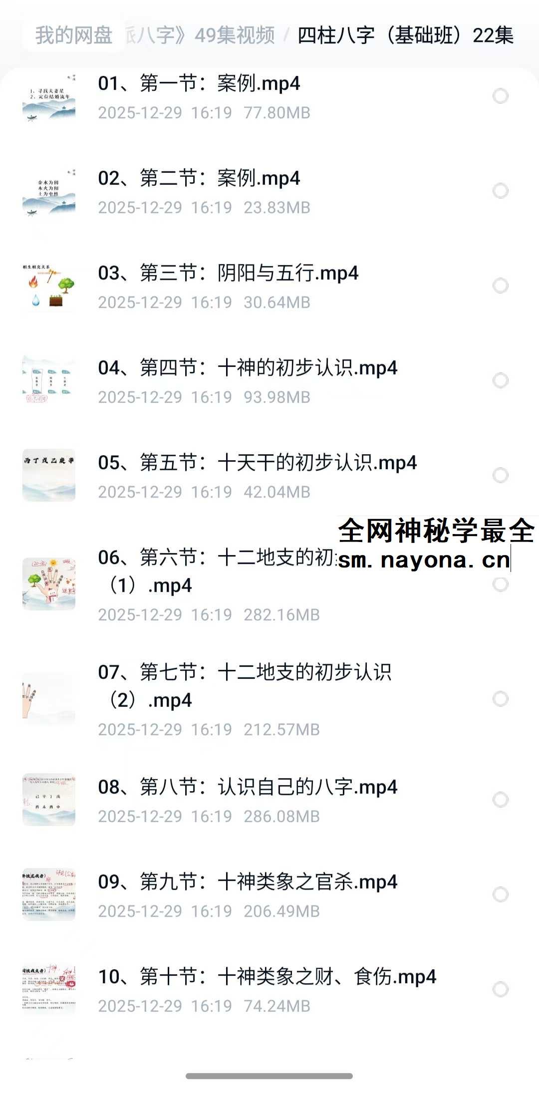 李宸安 盲派八字49集视频