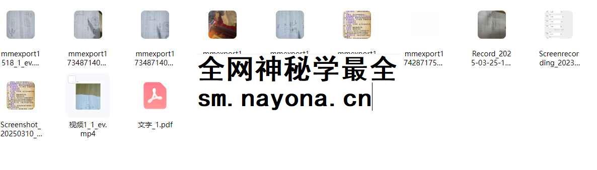 260133清霖闾山十六法视频+文档Y插图1