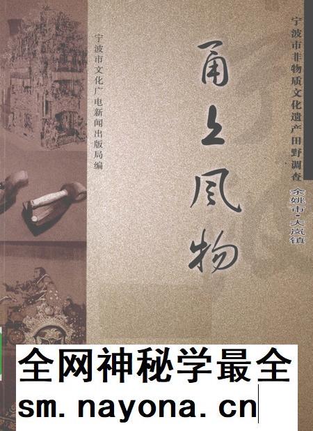 2010-甬上风物  宁波市非物质文化遗产田野调查  余姚市·大岚镇.pdf电子版_浙江省志插图