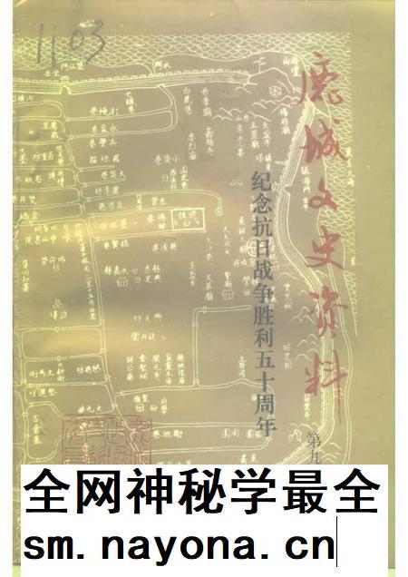 1995-鹿城文史资料  第9辑  纪念抗日战争胜利五十周年特辑  经济、文教  人物、建筑、综合.pdf电子版_浙江省志插图