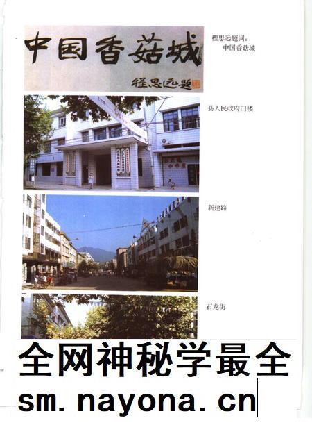 1996-庆元县志.pdf电子版_浙江省志插图3