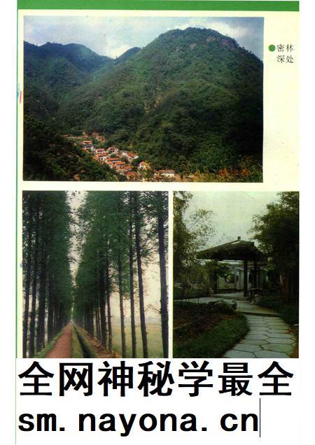 1996-湖州市志丛书  湖州市林业志.pdf电子版_浙江省志插图5