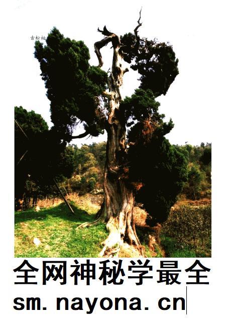 2005-宁海名人.pdf电子版_浙江省志插图3 2005-宁海名人.pdf电子版_浙江省志插图3