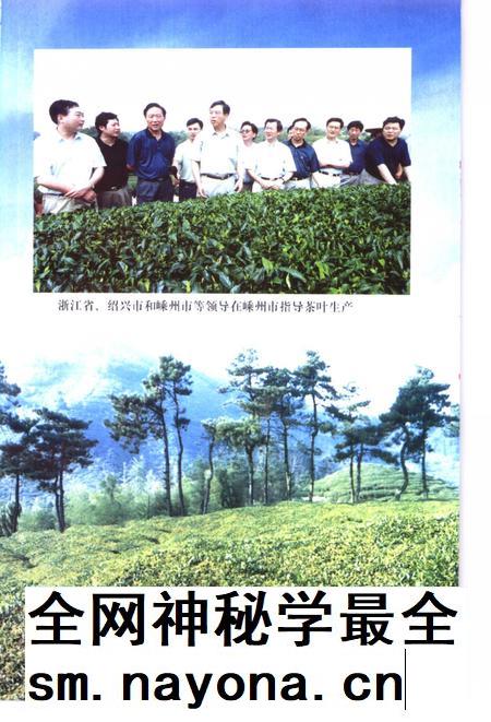2000-嵊州文史资料  第13辑  嵊州茶叶.pdf电子版_浙江省志插图5