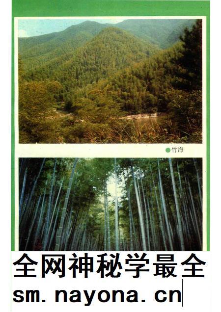 1996-湖州市志丛书  湖州市林业志.pdf电子版_浙江省志插图4