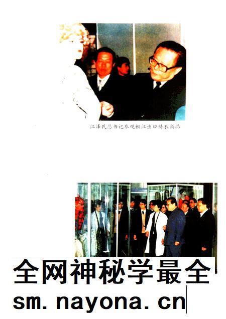 1994-椒江市对外经济贸易志.pdf电子版_浙江省志插图3