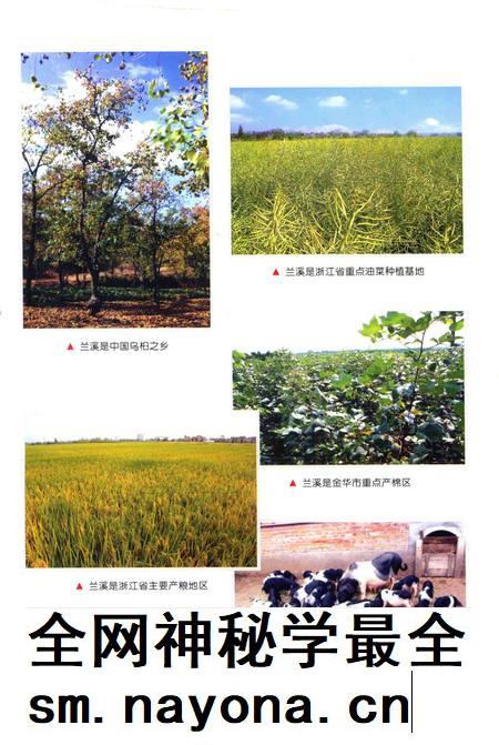 2009-兰溪农村工作简志.pdf电子版_浙江省志插图3 2009-兰溪农村工作简志.pdf电子版_浙江省志插图3