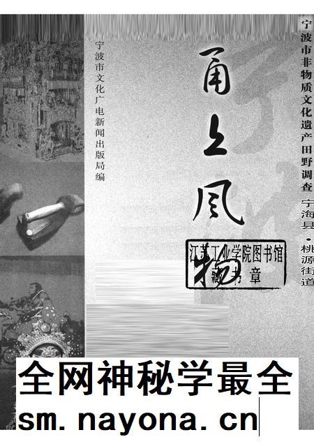 2008-甬上风物：宁波市非物质文化遗产田野调查  宁海县·桃源街道.pdf电子版_浙江省志插图1