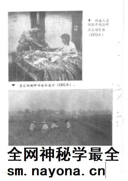 1994-建德文史资料  第11辑  农业专辑.pdf电子版_浙江省志插图4
