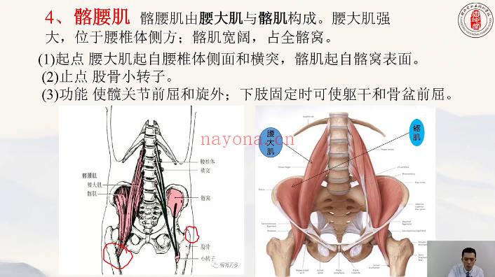 李文臣弟子班《李氏奇穴腰痛快治法》视频课7集