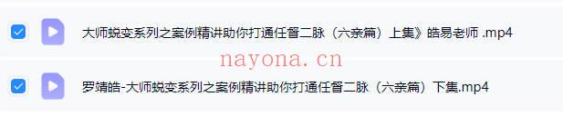 罗靖皓《大师蜕变系列之案例精讲助你打通任督二脉（六亲篇）》视频2集