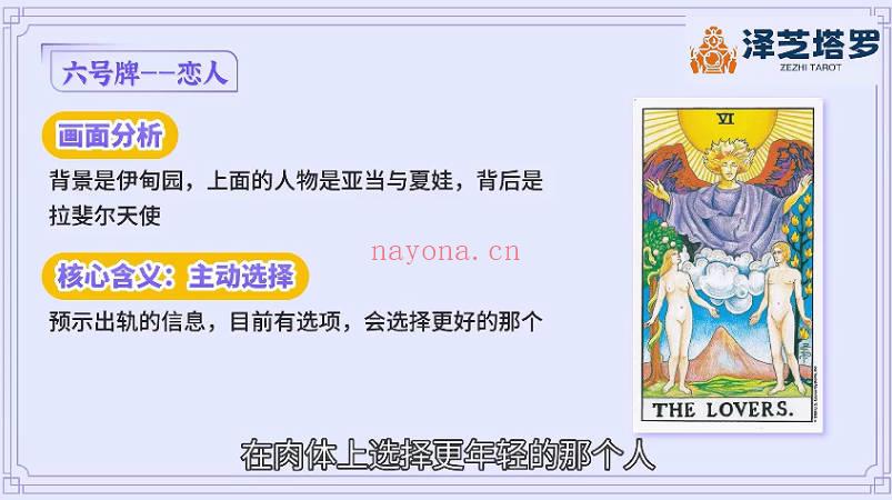 《泽芝塔罗牌系统学习课》视频课19集