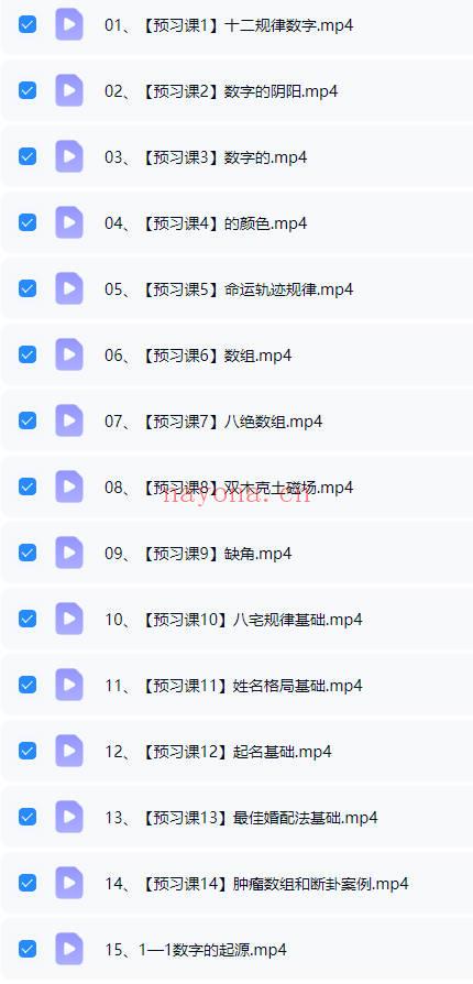 杨振炜《国学易经实战营》视频课45集