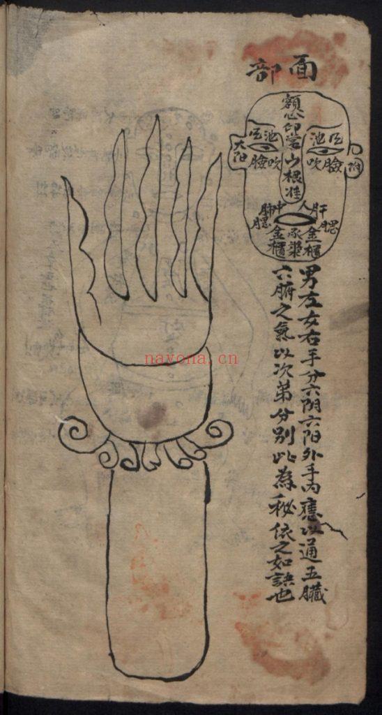《杂抄医书》中医古籍9