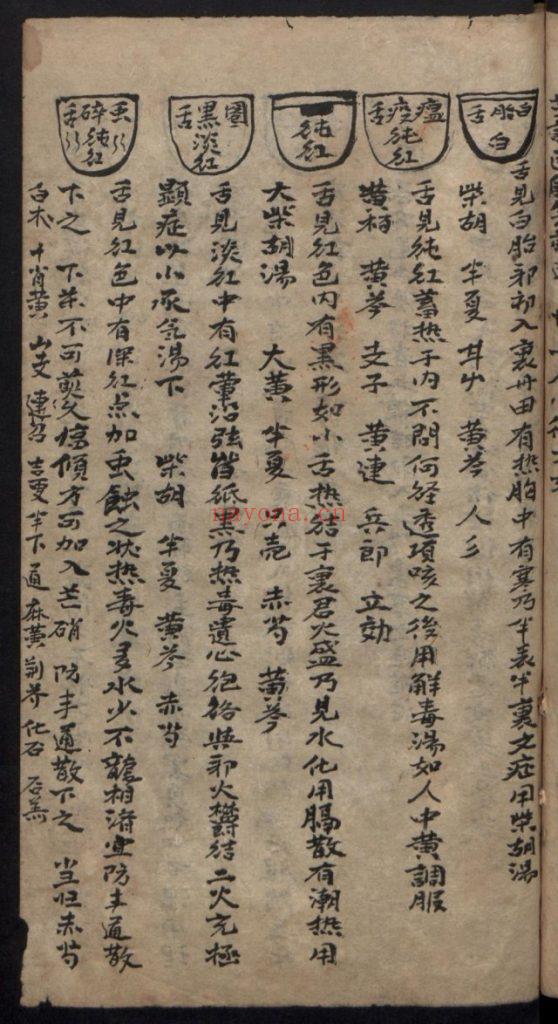 《杂抄医书》中医古籍9