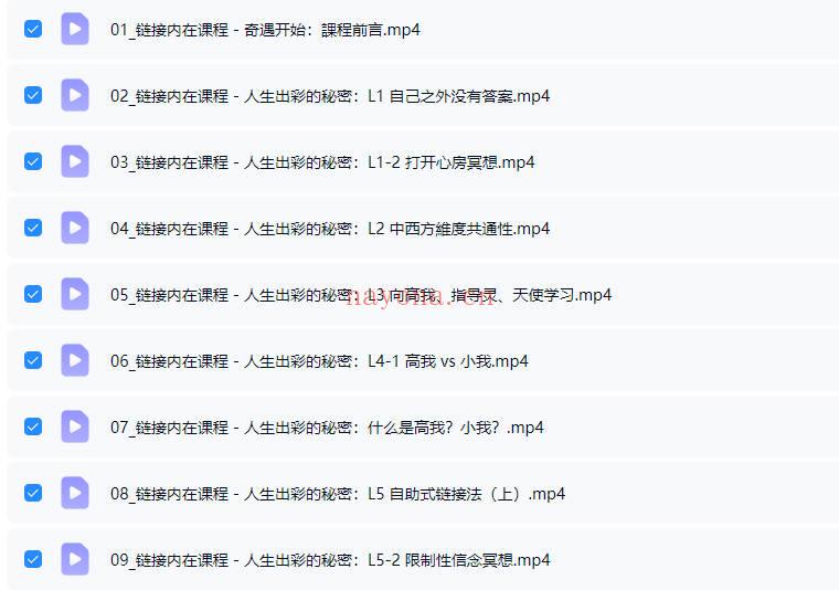 奇遇《链接内在高我》视频课+音频课+文档 26节