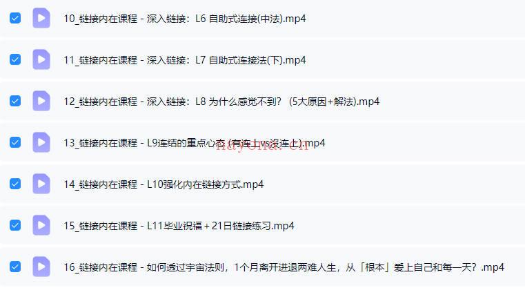 奇遇《链接内在高我》视频课+音频课+文档 26节