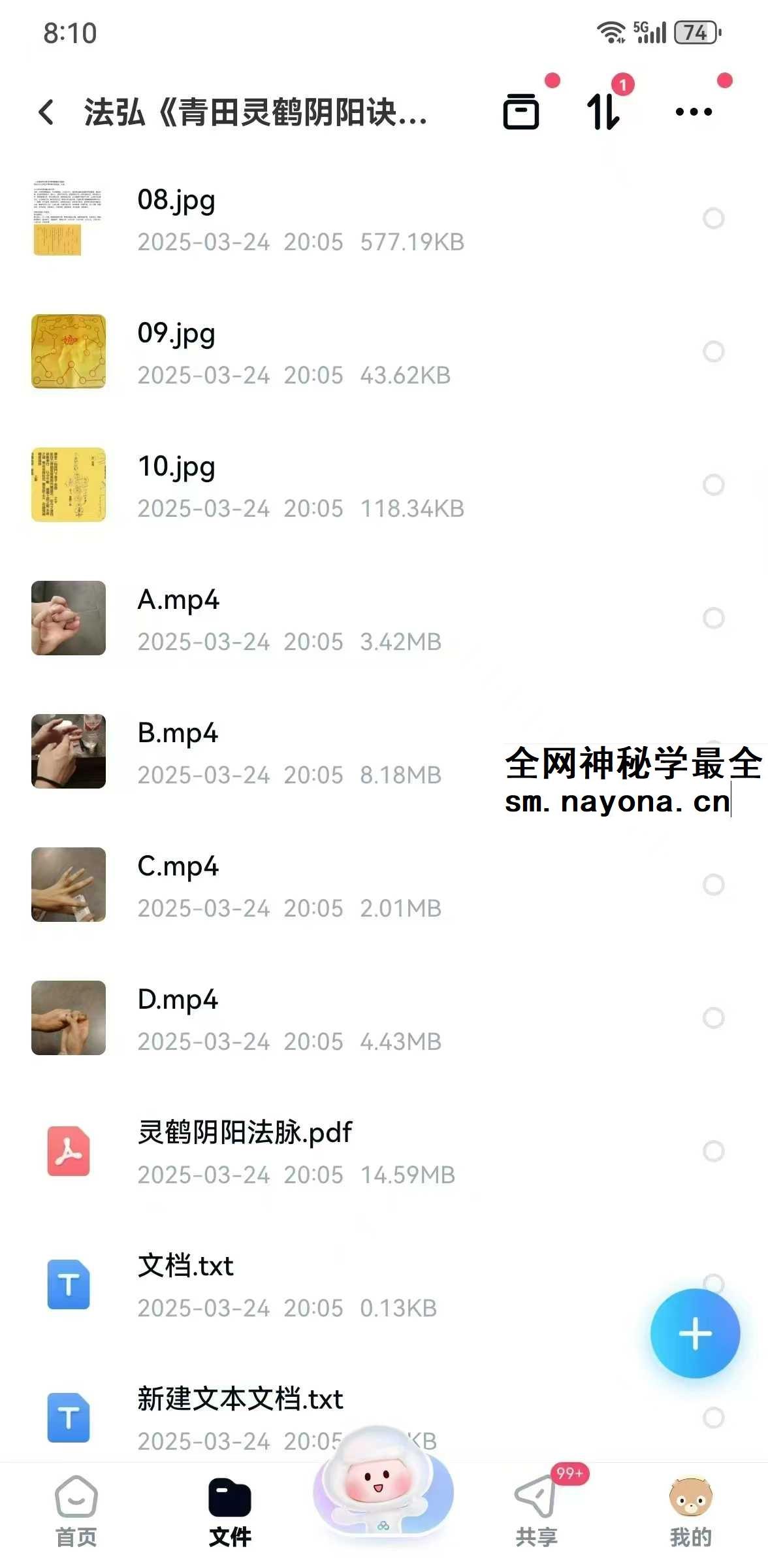 法弘《青田灵鹤阴阳诀》视频+文档