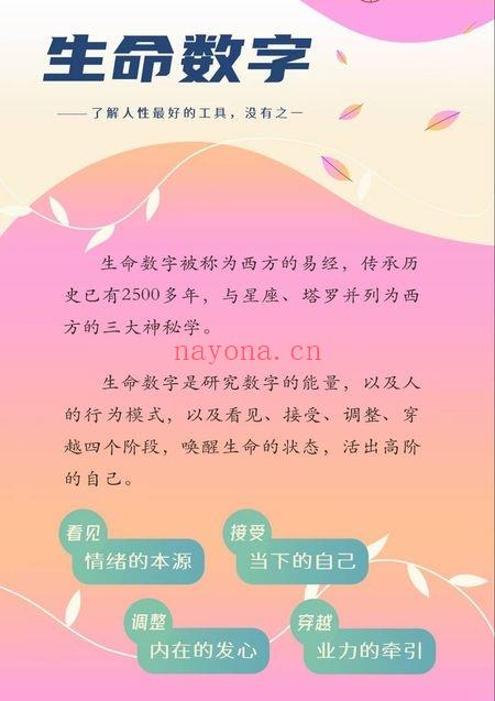 笑甲堂晓灿《生命数字一+二阶》视频课10集