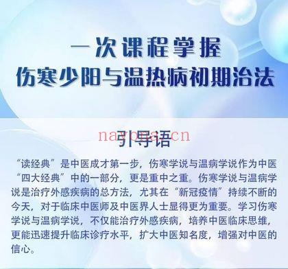 刘景源【左手伤寒+右手温病】伤寒少阳与温热病初期治法全18讲视频课