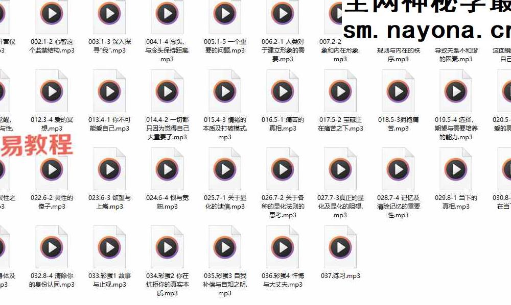 第一期丨生命大蜕变音频37集
