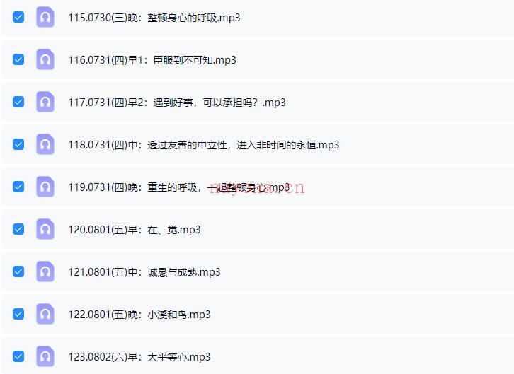 杨定一博士2025年【中道，中道到底】全球线上静心音频课200多节+配套文档