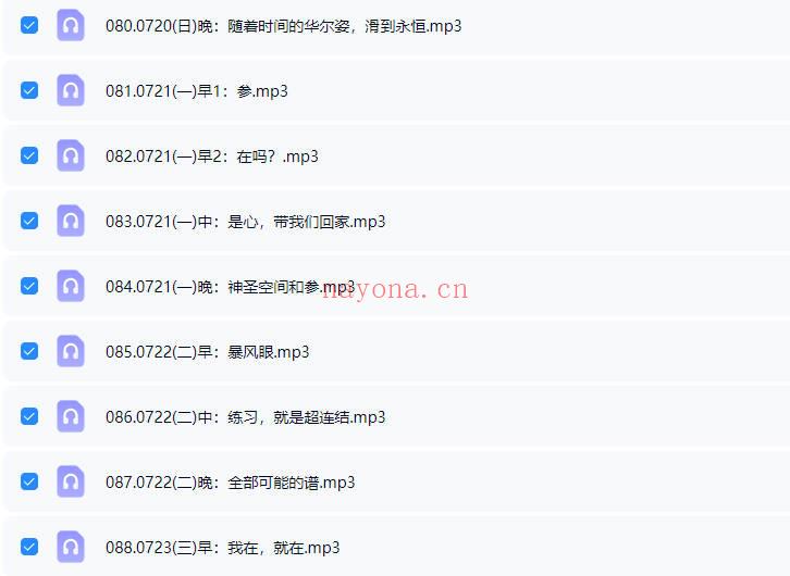 杨定一博士2025年【中道，中道到底】全球线上静心音频课200多节+配套文档